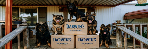 Darwin's Natural Pet Products Deals
